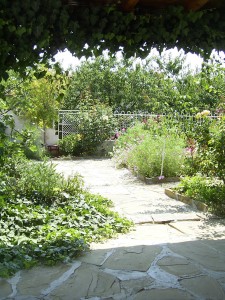 BG-Chervenka-2006-Garten-6